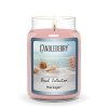 beach collection pink sugar large jar candle beach collection large jar candle the candleberry candle company 655569 704x704