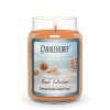 beach collection dreamsicle cake pop large jar candle beach collection large jar candle the candleberry candle company 911086 704x704