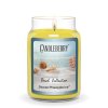 beach collection shaved pineapple ice large jar candle beach collection large jar candle the candleberry candle company 893728 704x704