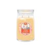 Yankee Candle Signature svíčka velká Slopeside Spritz, 567g