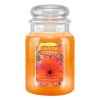 Country Candle Vonná Svíčka Sunshine & Daisies, 652 g (sójový vosk)