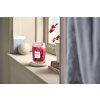 Yankee Candle Signature svíčka velká Red Raspberry, 567g