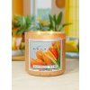 650x875px Easter Tangerine Tulips lifestyle