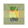 Yankee Candle Sage & Citrus Vůně do auta Papírová auto visačka 1 ks