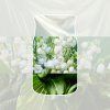 a4cf306b b127 3e48 af85 20a782c3158c
