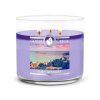 Lush Getaway 3 wick candle 1024x1024
