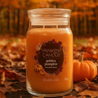 🍂✨ Golden Pumpkin – sladká a kořeněná vůně podzimu 🎃 Hřejivá skořice, šťavnatá malina a sladký vanilkovo-karamelový závěr....