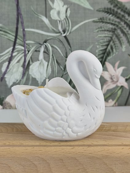 Svíčka labuť Jasmín