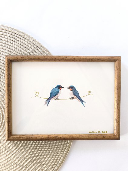 Obrázek akvarel Zamilované vlaštovky