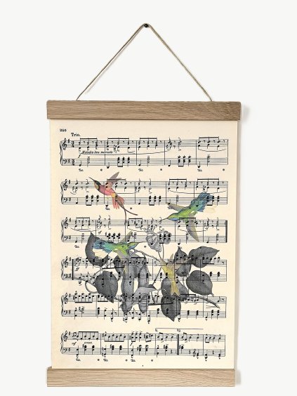 Tisk na starém notovém papíře KOLIBŘÍCI