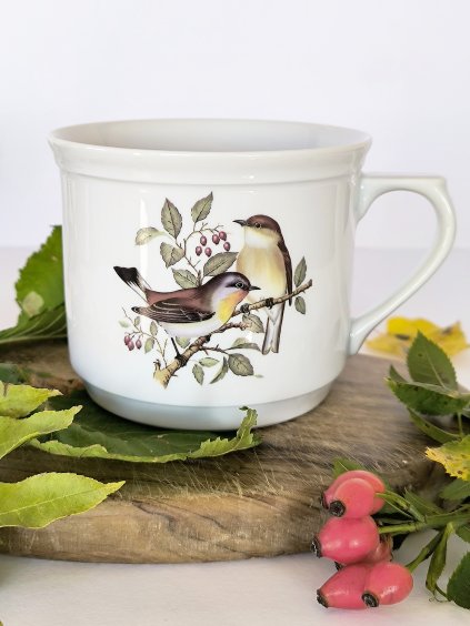 Porcelánový hrnek Vařák ptáci v šípkách, 500 ml