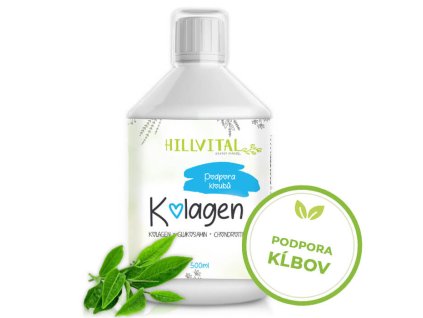 Hillvital Kĺbová výživa Kolagén - podpora kĺbov, 500 ml