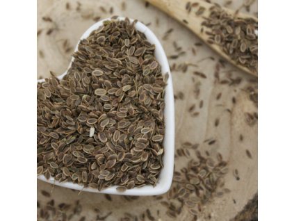 Kôpor voňavý - semeno celé - Anethum graveolens - Semen anethi 1000 g