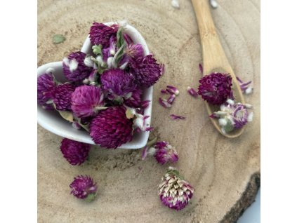 q6810d90c23dfa datelina lucna kvet cely trifolium pratense flos trifolii rubri 1