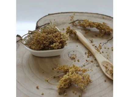 Alchemilka obyčajná -  Alchemilla vulgaris 50 g