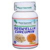Planet Ayurveda BOSWELLIA-CURCUMIN 60 kapsúl