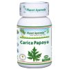 Planet Ayurveda CARICA PAPAYA 60 kapsúl