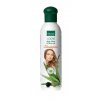 Finclub Aloe vera & Olivový olej šampón 250 ml