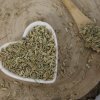 Fenikel sladký - plod celý - Foeniculum vulgare - Fructus foeniculi 1000 g