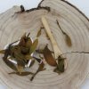 Imelo biele - vňať narezaná - Viscum album - Herba visci albi 250 g