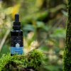 Lion´s mane tinktúra Hrotlife 50ml posilnenie imunity
