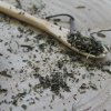Mäta klasnatá - vňať narezaná - Mentha spicata - Folium menthae 250 g