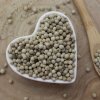 Piepor biely, korenie biele - celé - Piper nigrum - Fructus piperi 250 g