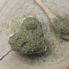 Plavúň obyčajný - vňať mletá - Lycopodium clavatum - Herba lycopodii 50 g