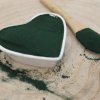 Spirulina - prach - Arthrospira platensis 1000 g