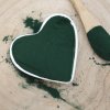 Spirulina - prach - Arthrospira platensis 1000 g