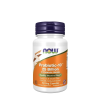 2926 Probiotic 10 25 Billion 50 Veg Capsules Render