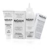 068330b34991e7 kremova farba na vlasy tmava blond color kit 6 0 dark blond noah 140ml 1