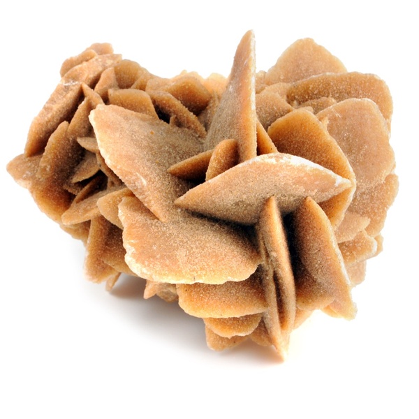 Sadrovec / Púštna ruža