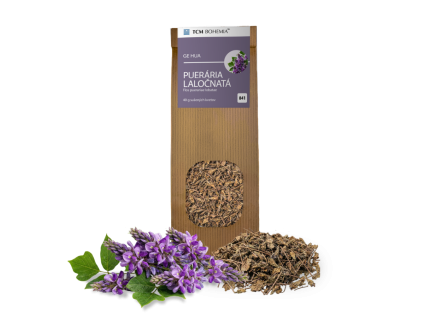pueraria
