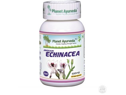INDICKÁ ECHINACEA - Právenka latnatá