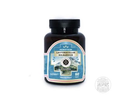 LACTOBACILLUS BULGARICUS S LUCUMOU