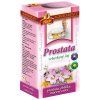 Čaj na prostatu - Vŕbovkový čaj