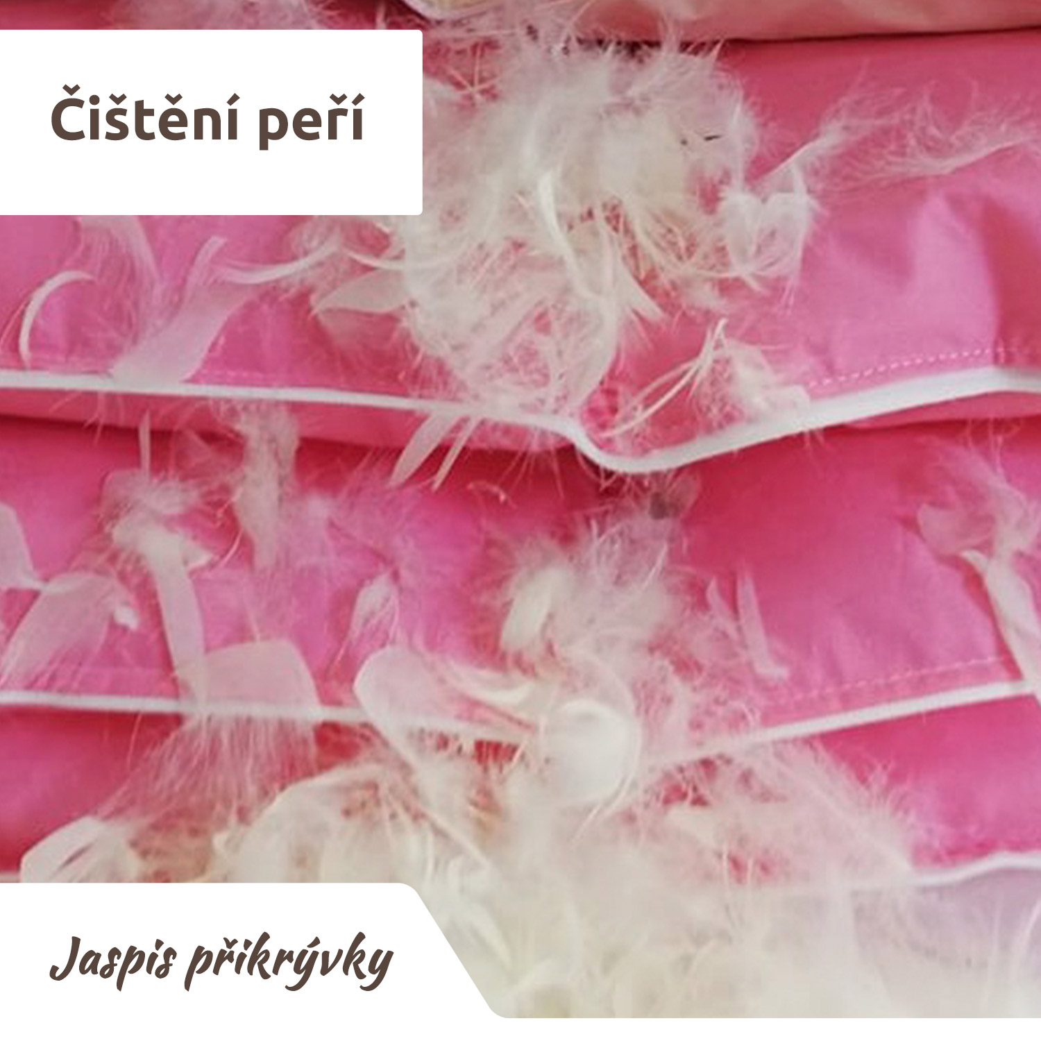 Čištění peří vašich polštářů a peřin pro zdravější spánek