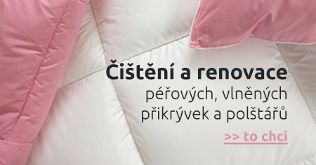 Čištění a renovace