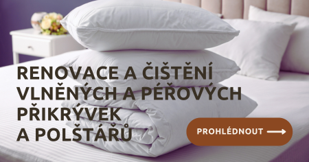 Čištění a renovace