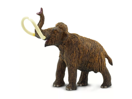236250 mamut