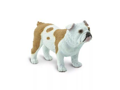 237435 bulldog