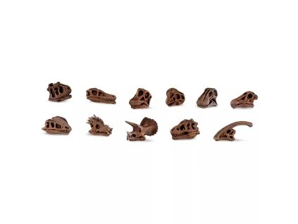 235878 dinosauri lebky