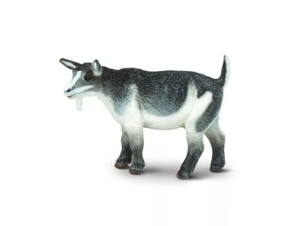 236661 trpaslici koza