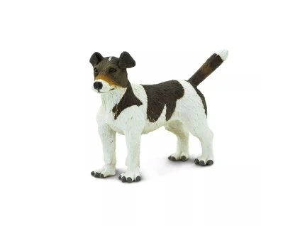 236700 jack russel terier
