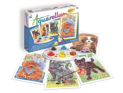 238884 akvarely junior stenata
