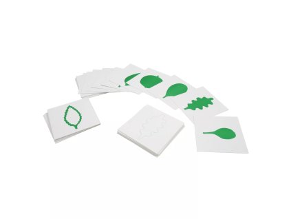 234969 karty tvary list