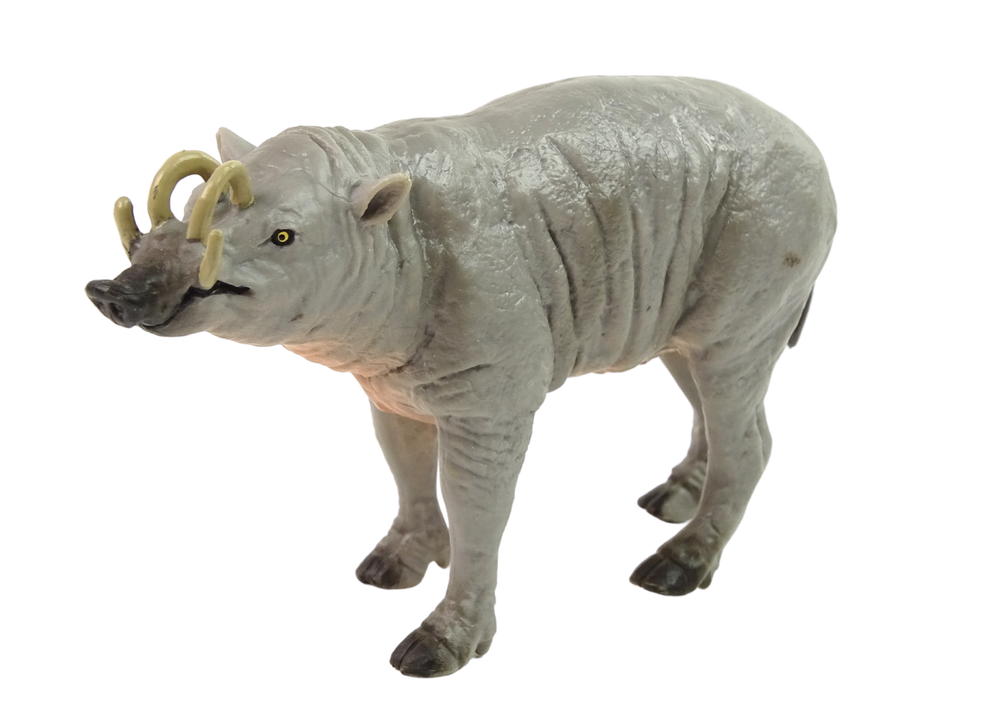 Babirussa malac figura