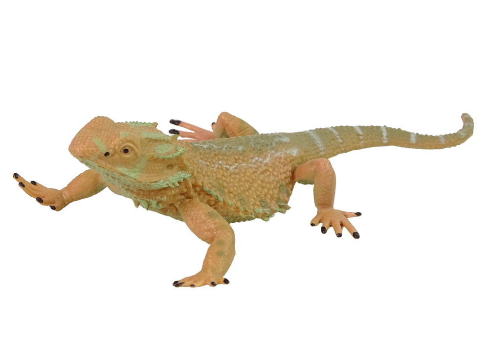 Ausztrál agama figura