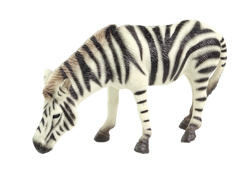 Zebra figura